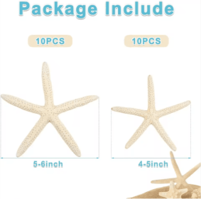 20 PCS 2-4 Inch 4-6 Inch Bulk Natural Real Starfish For DIY Crafts Wedding Beach Ornaments (Option: 4to6 inch)