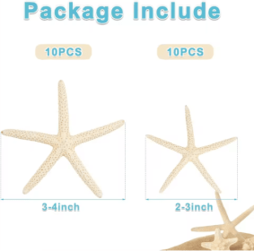 20 PCS 2-4 Inch 4-6 Inch Bulk Natural Real Starfish For DIY Crafts Wedding Beach Ornaments (Option: 2to4 inch)