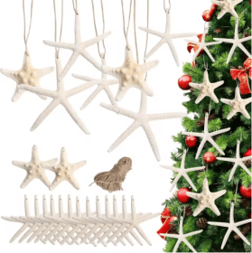 15pcs 2.3-4.3 Inch Starfish Hanging Ornaments Star Fish Shells Decor For Crafts (Option: White)