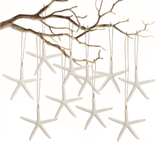 20 PCS Starfish Hanging Ornaments 3-4'' Natural Starfish With Rope (Option: White)